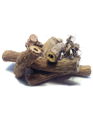 ანწლის მშრალი ფესვები – Корни бузины травянистой – Sambucus ebulus.