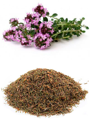 ბეგქონდარა