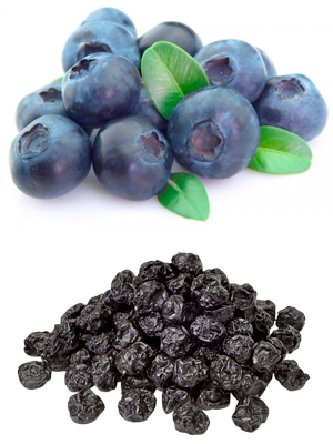 ლურჯი მოცვი – Голубика – Vaccinium uliginosum